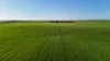 'Condowie' 1 Smitham Road, Condowie, SA 5464-Image