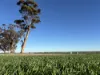 'Craigmile' Cubbine Road, Quairading, WA 6383