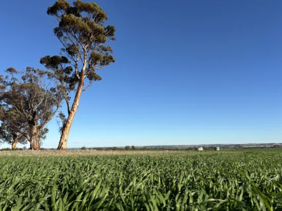 'Craigmile' Cubbine Road, Quairading, WA 6383