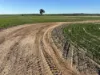 'Craigmile' Cubbine Road, Quairading, WA 6383-Image