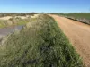 'Craigmile' Cubbine Road, Quairading, WA 6383-Image