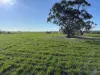 'Craigmile' Cubbine Road, Quairading, WA 6383-Image