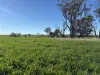 'Craigmile' Cubbine Road, Quairading, WA 6383-Image