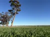 'Craigmile' Cubbine Road, Quairading, WA 6383-Image
