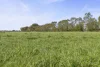Crn Steeles Road & Foxhow Road, Leslie Manor, Vic 3260-Image