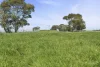 Crn Steeles Road & Foxhow Road, Leslie Manor, Vic 3260-Image