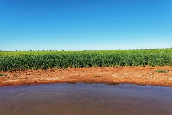 Crowie Peisley Road, Nyngan NSW 2825 - For Sale