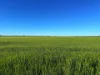 Crowie Peisley Road, Nyngan NSW 2825-Image