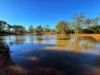 Crowie Peisley Road, Nyngan NSW 2825-Image