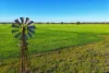 Daisy Springs 2537 The Bogan Way, Albert NSW 2873-Image