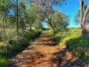 Daisy Springs 2537 The Bogan Way, Albert NSW 2873-Image