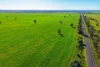 Daisy Springs 2537 The Bogan Way, Albert NSW 2873-Image