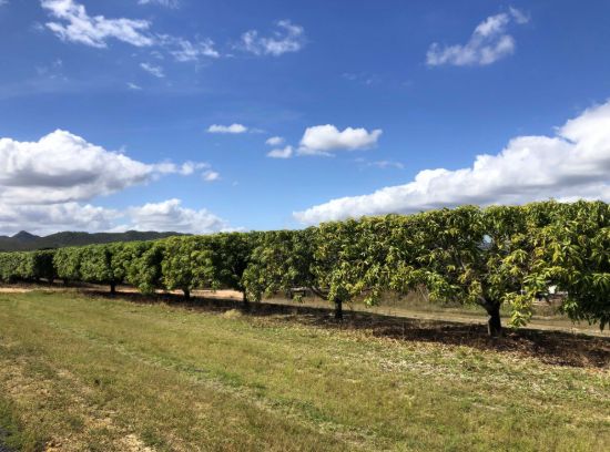 , Dimbulah QLD 4872-Image