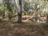 , Dimbulah QLD 4872-Image