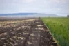 "Dooley's Plain" Toowoomba Cecil Plains Road, Aubigny QLD 4401-Image