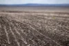 "Dooley's Plain" Toowoomba Cecil Plains Road, Aubigny QLD 4401-Image