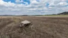 "Dooley's Plain" Toowoomba Cecil Plains Road, Aubigny QLD 4401-Image