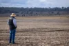 "Dooley's Plain" Toowoomba Cecil Plains Road, Aubigny QLD 4401-Image