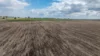 "Dooley's Plain" Toowoomba Cecil Plains Road, Aubigny QLD 4401-Image