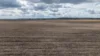 "Dooley's Plain" Toowoomba Cecil Plains Road, Aubigny QLD 4401-Image