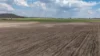 "Dooley's Plain" Toowoomba Cecil Plains Road, Aubigny QLD 4401-Image