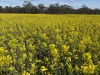 . Dudley Road, Grass Valley, WA 6403-Image