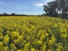 . Dudley Road, Grass Valley, WA 6403-Image