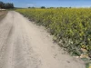 . Dudley Road, Grass Valley, WA 6403-Image