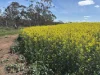 . Dudley Road, Grass Valley, WA 6403-Image