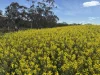 . Dudley Road, Grass Valley, WA 6403-Image