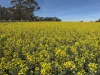 . Dudley Road, Grass Valley, WA 6403-Image
