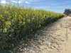 . Dudley Road, Grass Valley, WA 6403-Image