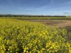 . Dudley Road, Grass Valley, WA 6403-Image