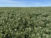 . Dudley Road, Grass Valley, WA 6403-Image