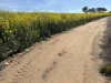 . Dudley Road, Grass Valley, WA 6403-Image
