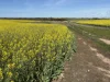 . Dudley Road, Grass Valley, WA 6403-Image