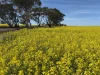 . Dudley Road, Grass Valley, WA 6403-Image