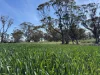. Dudley Road, Grass Valley, WA 6403-Image