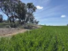 . Dudley Road, Grass Valley, WA 6403-Image