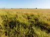 'Edenhope' 615 Barracks Road, Roma, Qld 4455-Image
