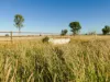 'Edenhope' 615 Barracks Road, Roma, Qld 4455-Image