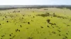 'Edenhope' 615 Barracks Road, Roma, Qld 4455-Image