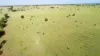 'Edenhope' 615 Barracks Road, Roma, Qld 4455-Image