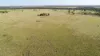 'Edenhope' 615 Barracks Road, Roma, Qld 4455-Image