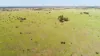 'Edenhope' 615 Barracks Road, Roma, Qld 4455-Image