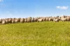 'Eudunda Hill' Thiele Highway, Eudunda, SA 5374-Image