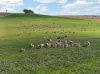 'Eudunda Hill' Thiele Highway, Eudunda, SA 5374-Image