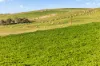 'Eudunda Hill' Thiele Highway, Eudunda, SA 5374-Image