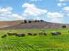 'Eudunda Hill' Thiele Highway, Eudunda, SA 5374-Image