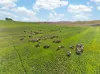 'Eudunda Hill' Thiele Highway, Eudunda, SA 5374-Image